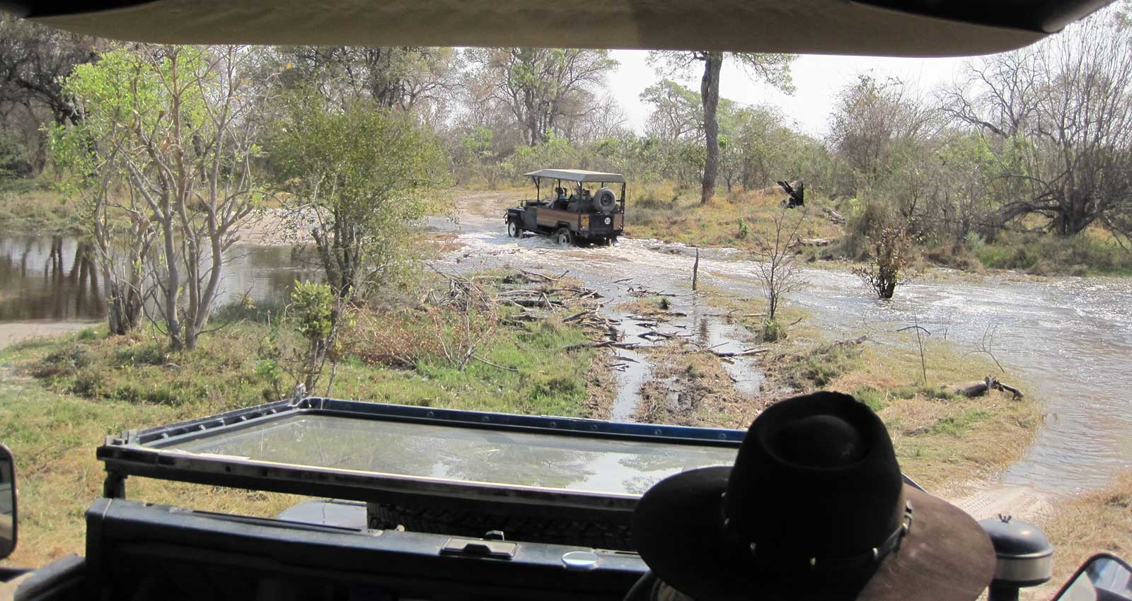 On game drive with Masson Safaris in Moremi Game Reserve